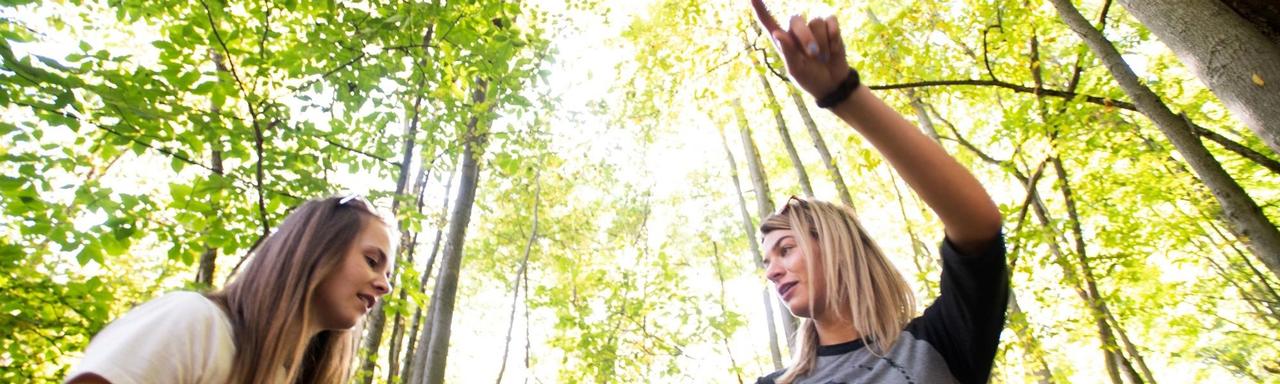 students under a tree canopy